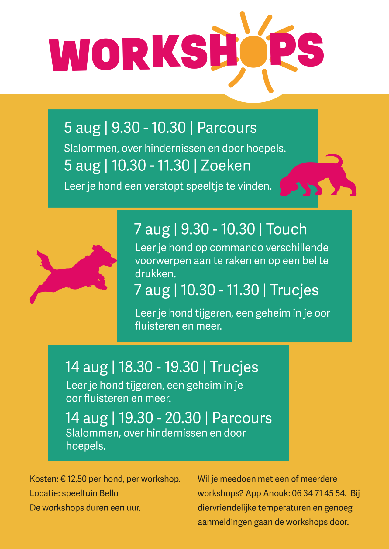 Zomerworkshops 2